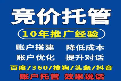 某电商平台的SEM推广策略全解析
